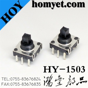 High Quality 10*10*10mm Tact Switch with DIP Type Square Button 6pin (HY-1503)